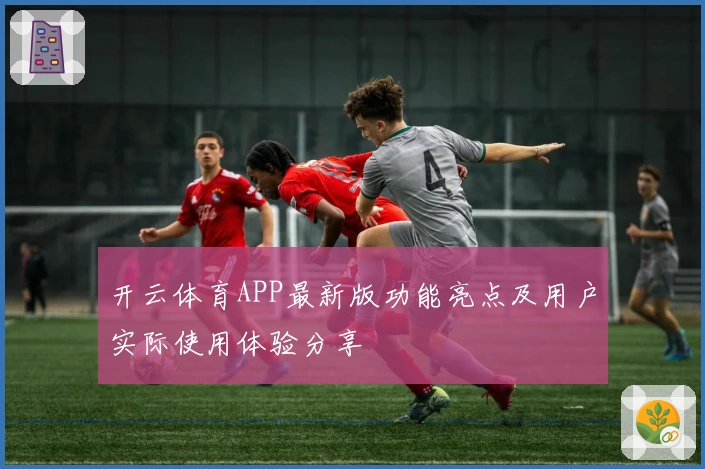 开云体育APP最新版功能亮点及用户实际使用体验分享